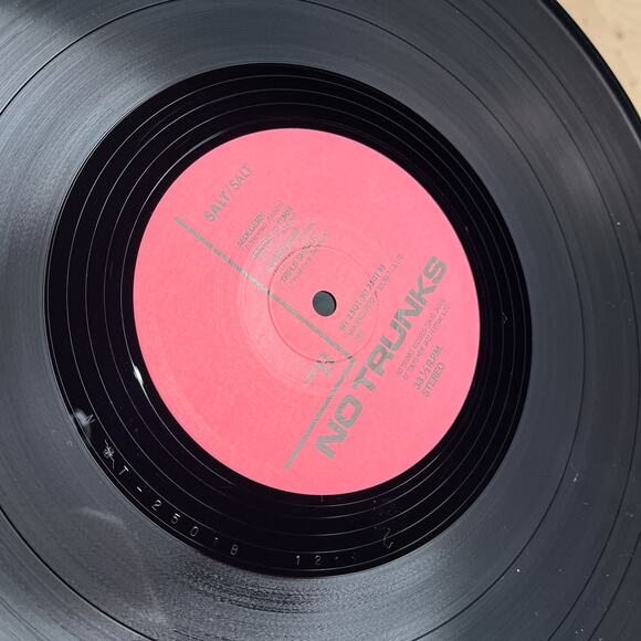 Salt - Self-Titled Vinyl LP Record No Trunks – NT 2501 Japanese Jazz 1986 - Picture 5 of 6